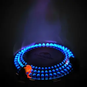 سرشعله طبیعت گردی نیچرهایک NH21RJ009